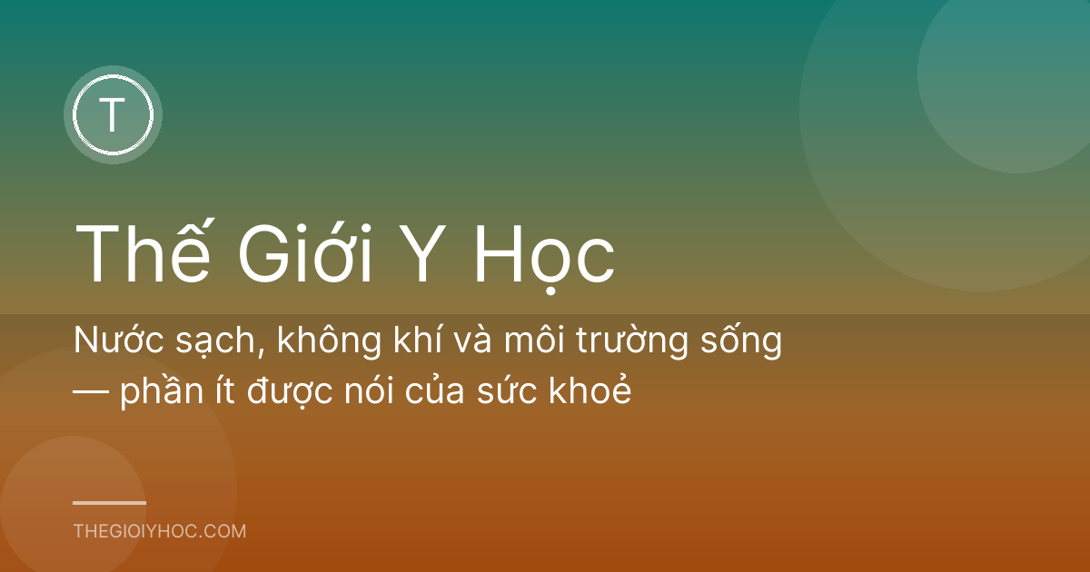 Nước sạch, không khí và môi trường sống — phần ít được nói của sức khoẻ